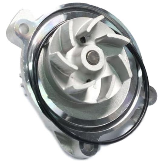 RD150165426 Rider Помпа