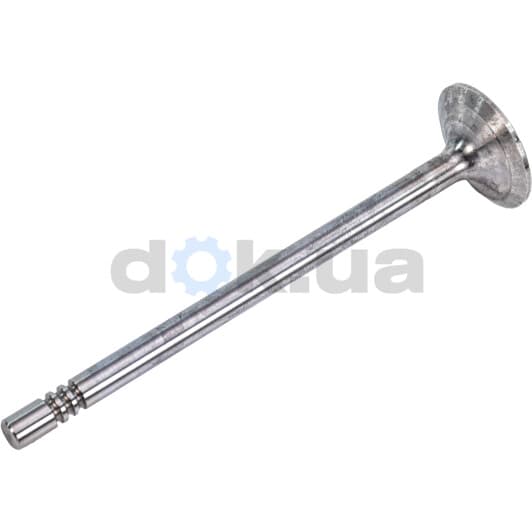 R6145/SCR Freccia Впускной клапан