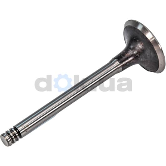 V90321 AE Впускний клапан