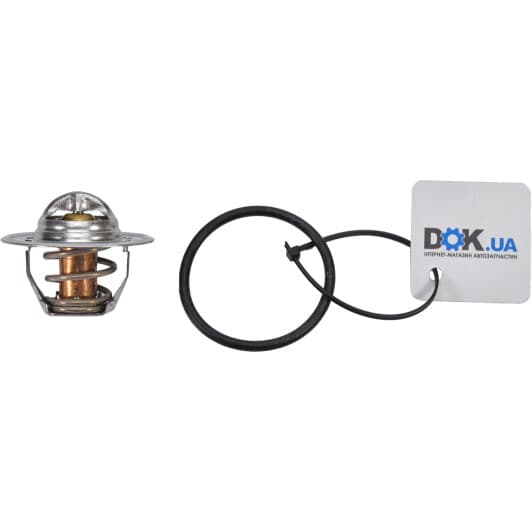 8620 7191 Triscan Термостат