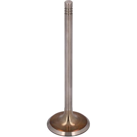 12823 Febi Впускний клапан