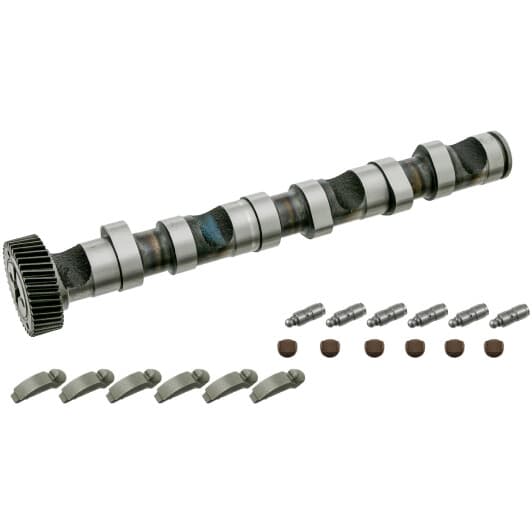 29918 Febi Комплект распредвала