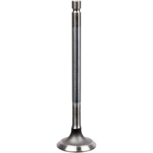 22064 Febi Впускний клапан