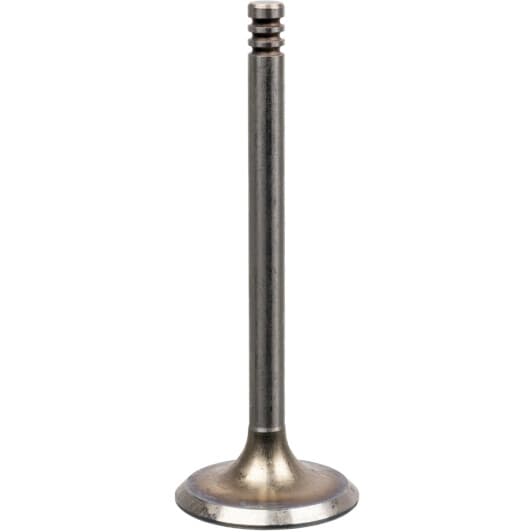 19992 Febi Впускной клапан