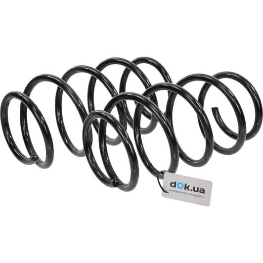 sr031tp RAISO Пружина підвіски для Audi 100