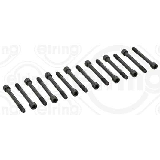 710.100 Elring Болт ГБЦ