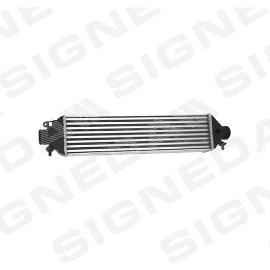 ri96615 Signeda Интеркулер