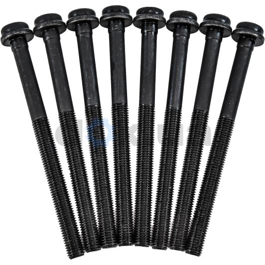 14-32106-01 Reinz Болт ГБЦ