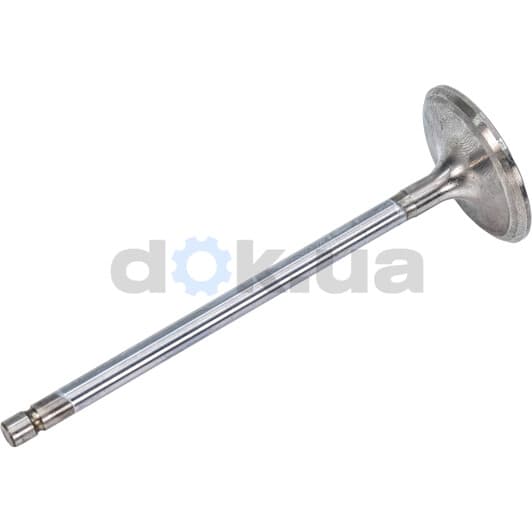 V166030 BGA Впускной клапан