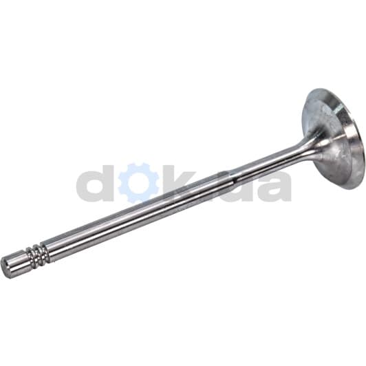 R6827/S Freccia Впускной клапан