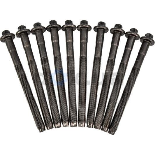 81008000 Ajusa Болт ГБЦ