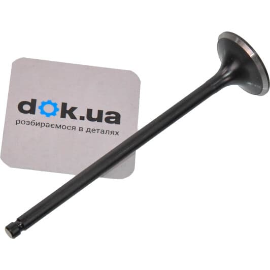 R6541/RNT Freccia Выпускной клапан