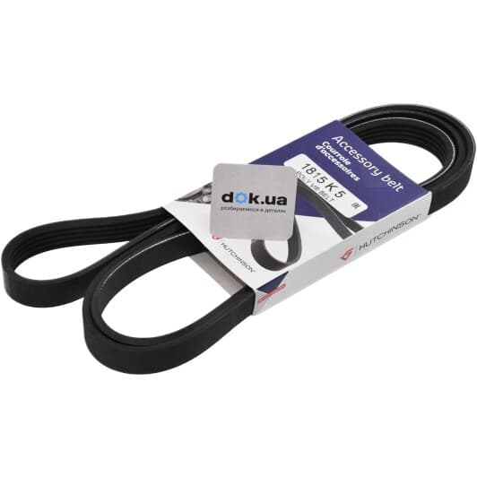 1815 K 5 Hutchinson Поліклиновий ремінь