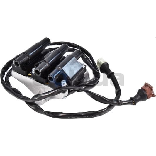 20366 Bremi Котушка запалювання