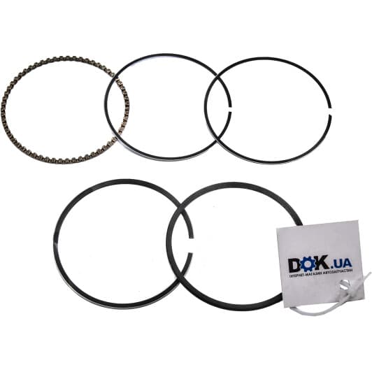 2C5029 Hastings Piston Rings Комплект поршневых колец