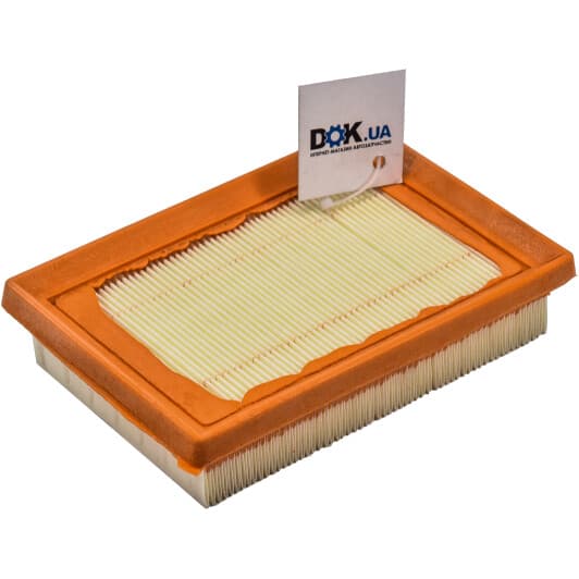 A1613 Purflux Повітряний фільтр