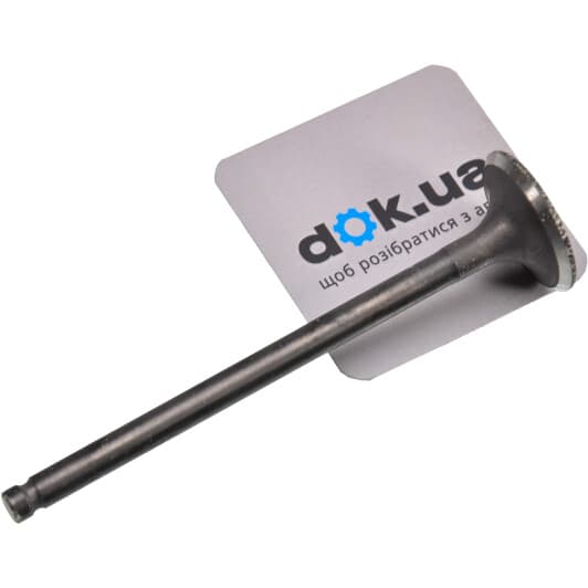 1320253Y00 Nissan / Infiniti Випускний клапан