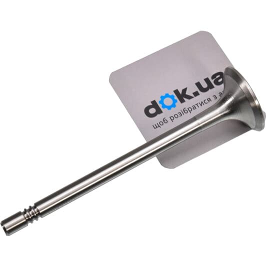 V165651 BGA Выпускной клапан