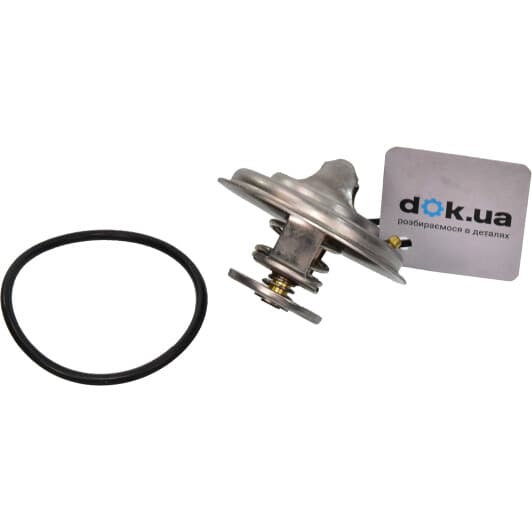 RD1517511180 Rider Термостат