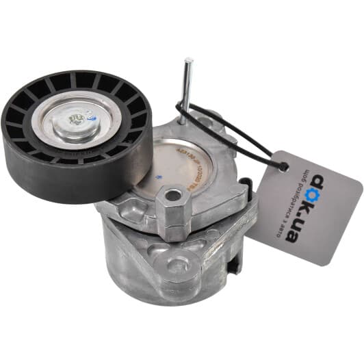 TS-H00 Japanparts Натяжний ролик поліклинового ременя