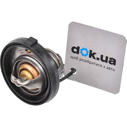 8620 12182 Triscan Термостат