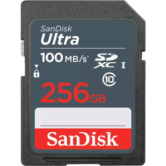 Карта памяти SanDisk Ultra Light SDXC 256 ГБ