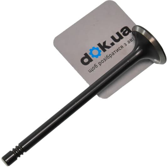 11090216801 Vika Випускний клапан