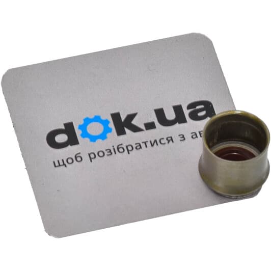 12-52868-01 Reinz Комплект сальников клапанов