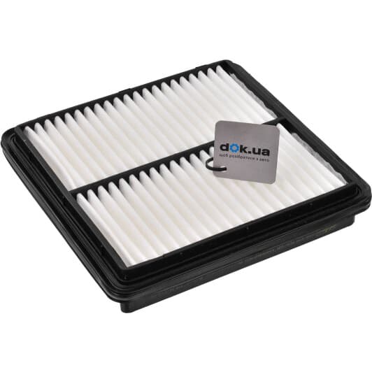 RD1340WA6250 Rider Воздушный фильтр