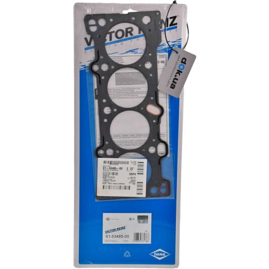 61-53485-00 Reinz Прокладка ГБЦ