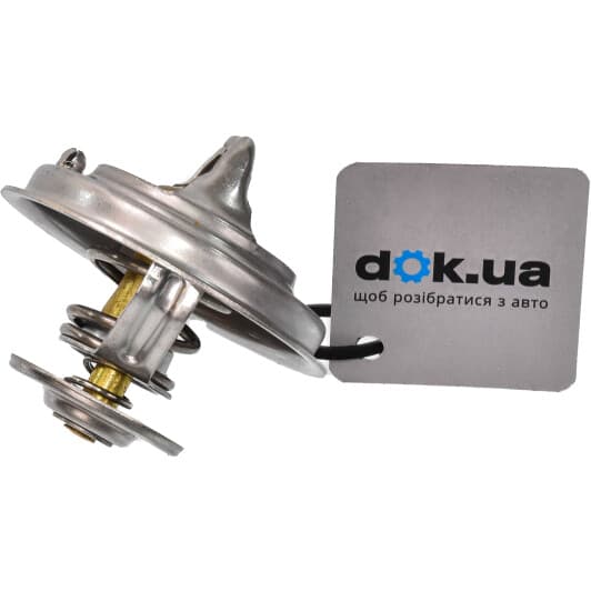 11211796601 Vika Термостат