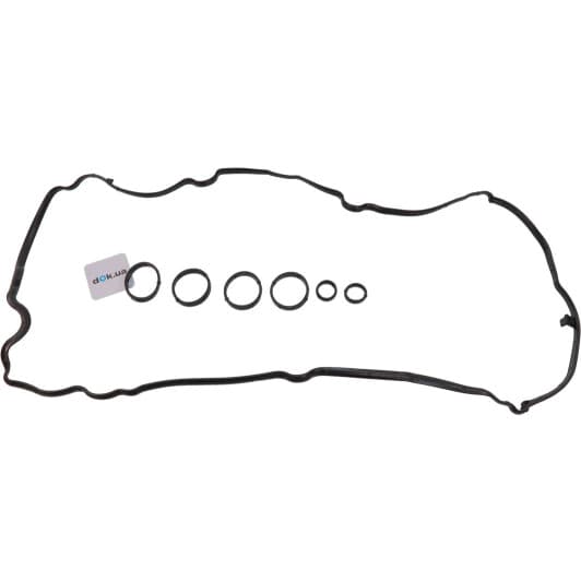 15-42033-01 Reinz Комплект прокладок клапанної кришки
