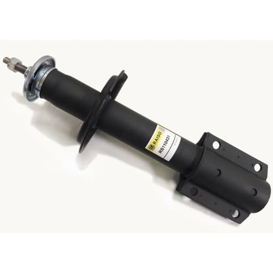 rs110431 RAISO Амортизатор
