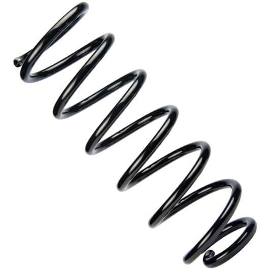 sr154tp RAISO Пружина підвіски