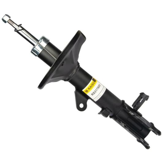 rs317605 RAISO Стійка амортизатора для Hyundai Elantra