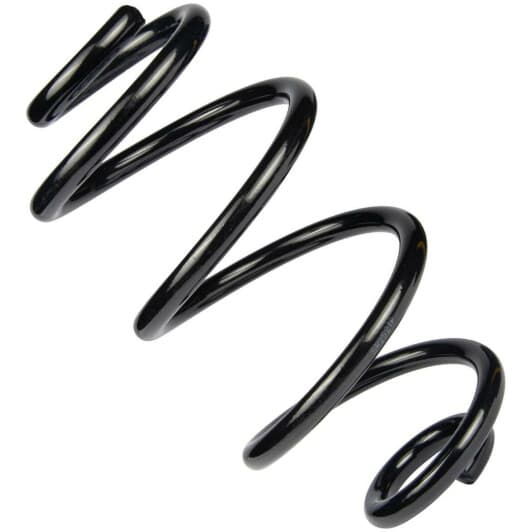 sr252tp RAISO Пружина підвіски