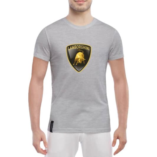 Футболка мужская Globuspioner классическая Lamborghini Logo серый спереди