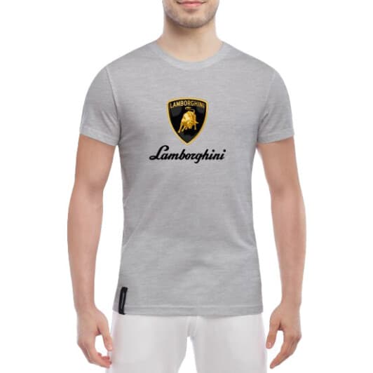 Футболка мужская Globuspioner классическая Lamborghini Big Logo серый спереди