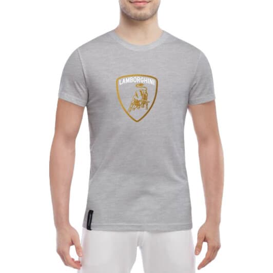 Футболка мужская Globuspioner классическая Lamborghini Logo Gold серый спереди