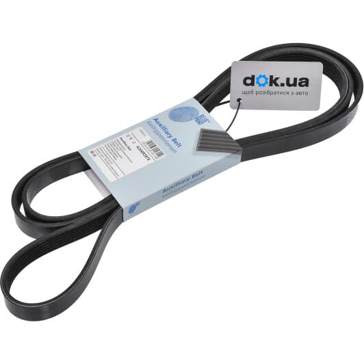 AD06R2575 Blue Print Поліклиновий ремінь