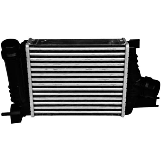 80996 Asam Інтеркулер