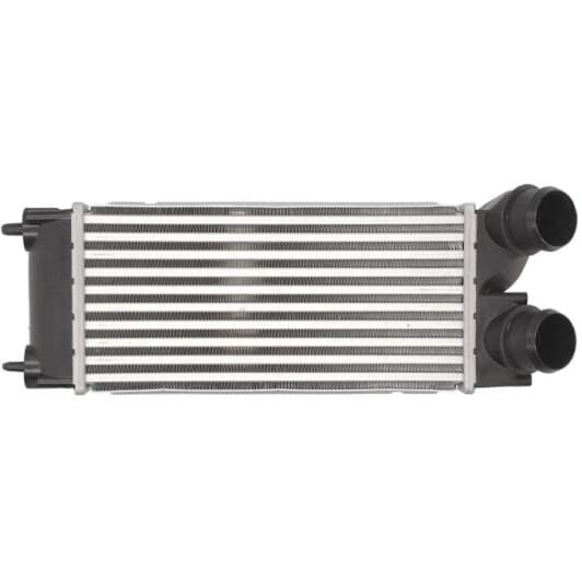 DAP002TT Thermotec Інтеркулер