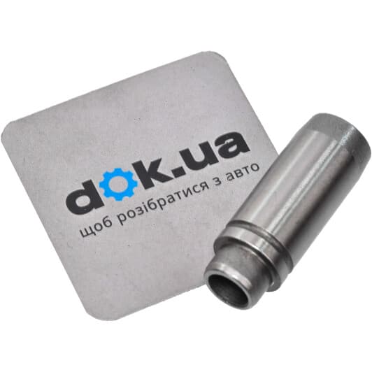 81-17120 TRW Напрямна клапана