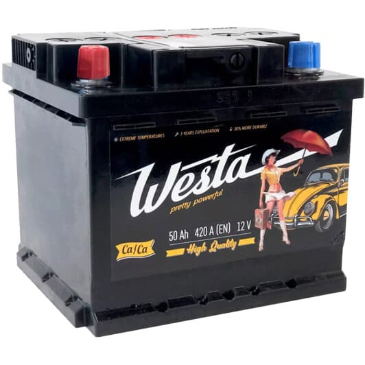 Аккумулятор Westa 6 CT-50-L Pretty Powerful WPP501