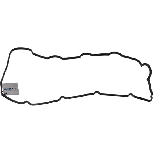 71-54011-00 Reinz Прокладка клапанної кришки