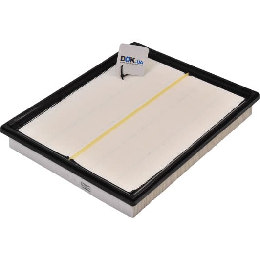 CAF100689P Champion Воздушный фильтр