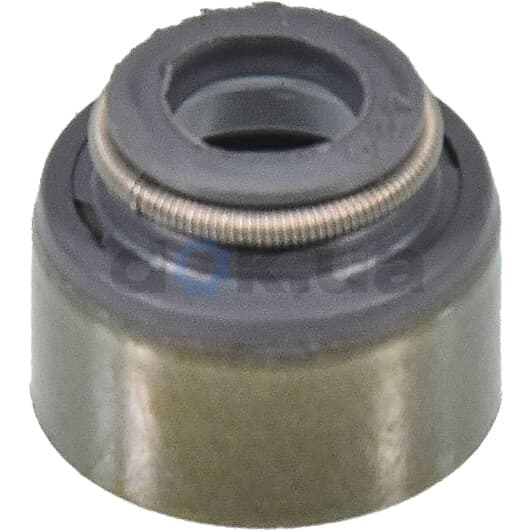 12-52799-01 Reinz Комплект сальников клапанов