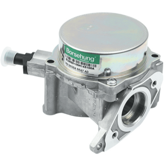 B18666 Borsehung Вакуумний підсилювач гальмівної системи