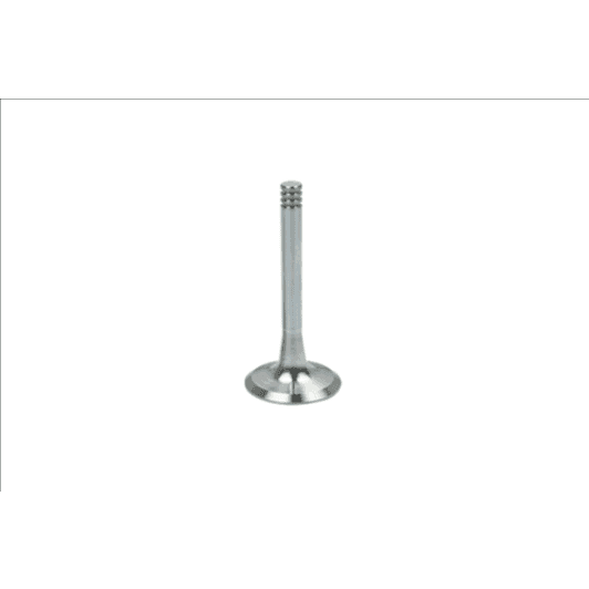 b19002 Borsehung Выпускной клапан