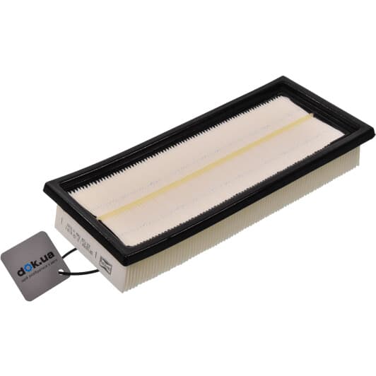 CAF100743P Champion Воздушный фильтр